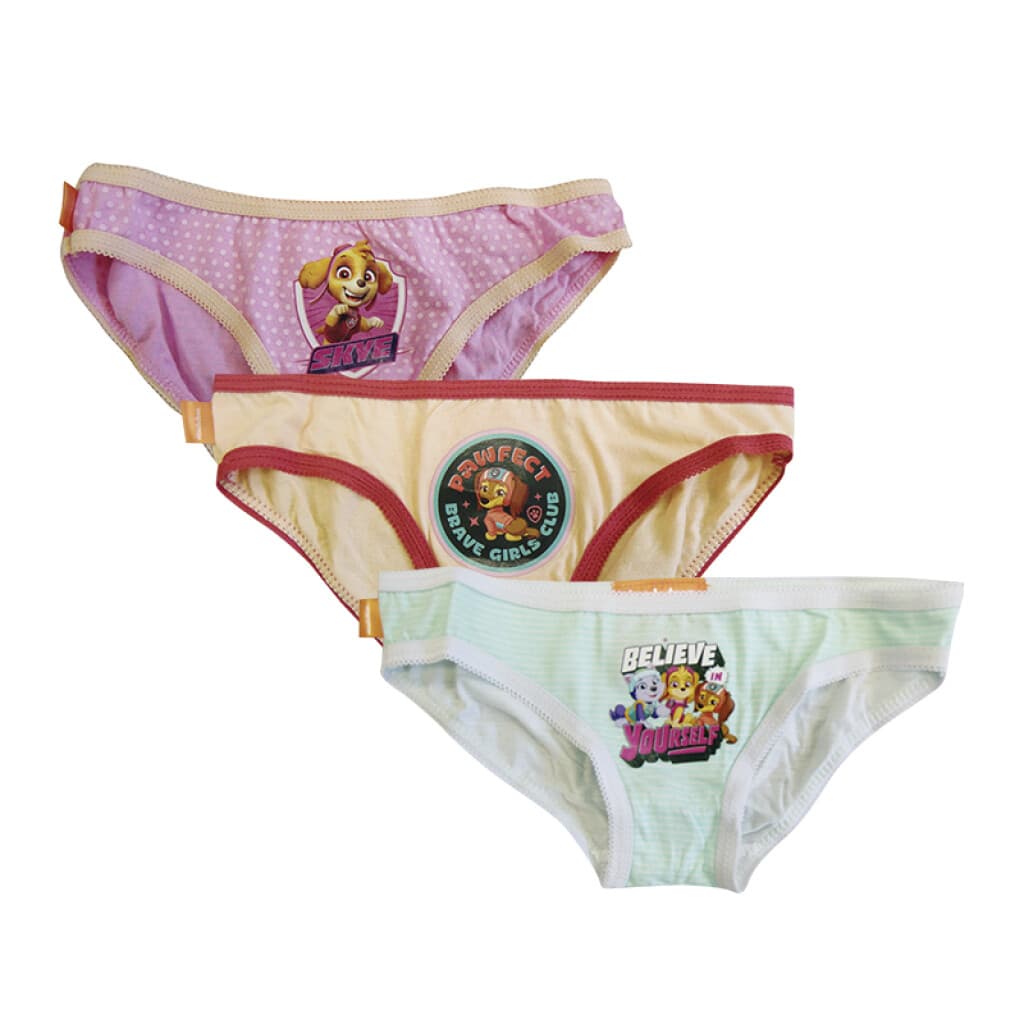 Pack x 3 Bombachas Infantiles Paw Patrol Talle 2/7 - 2/3 - 1