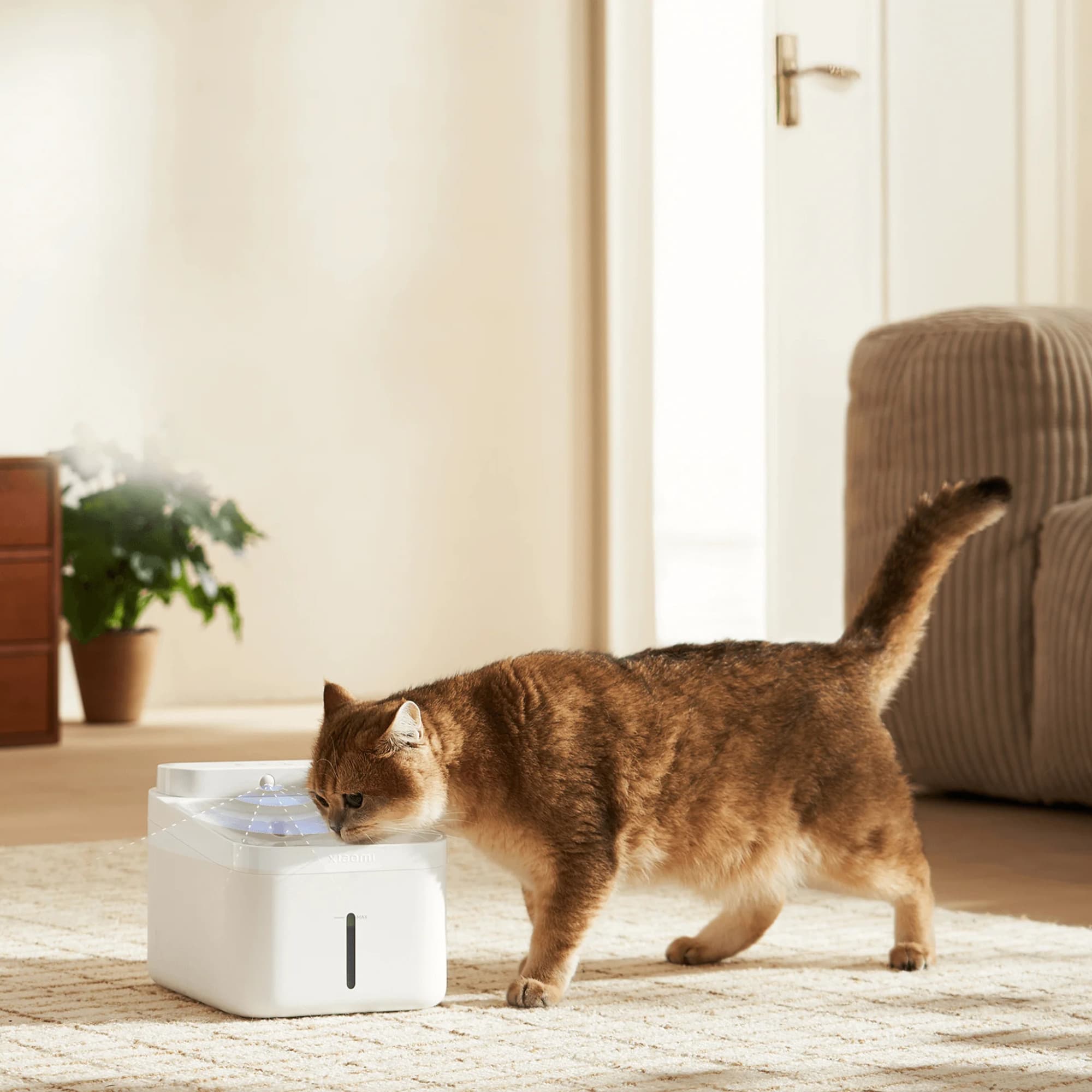 Fuente De Agua Inteligente Para Mascotas Xiaomi Pet Fountain 2 3L - 6
