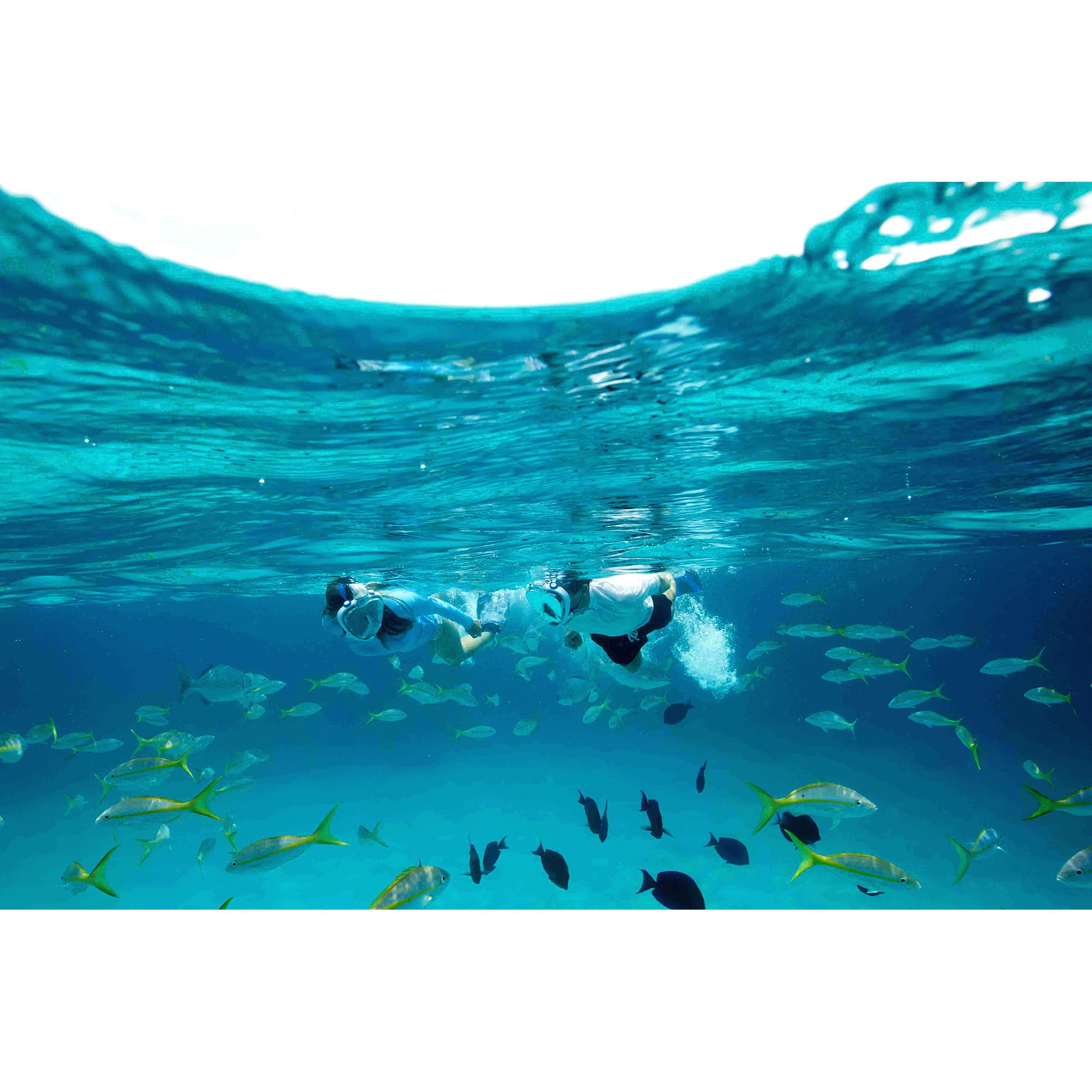 Kit Buceo Aqua Lung Smart Snorkel Talle S - 7